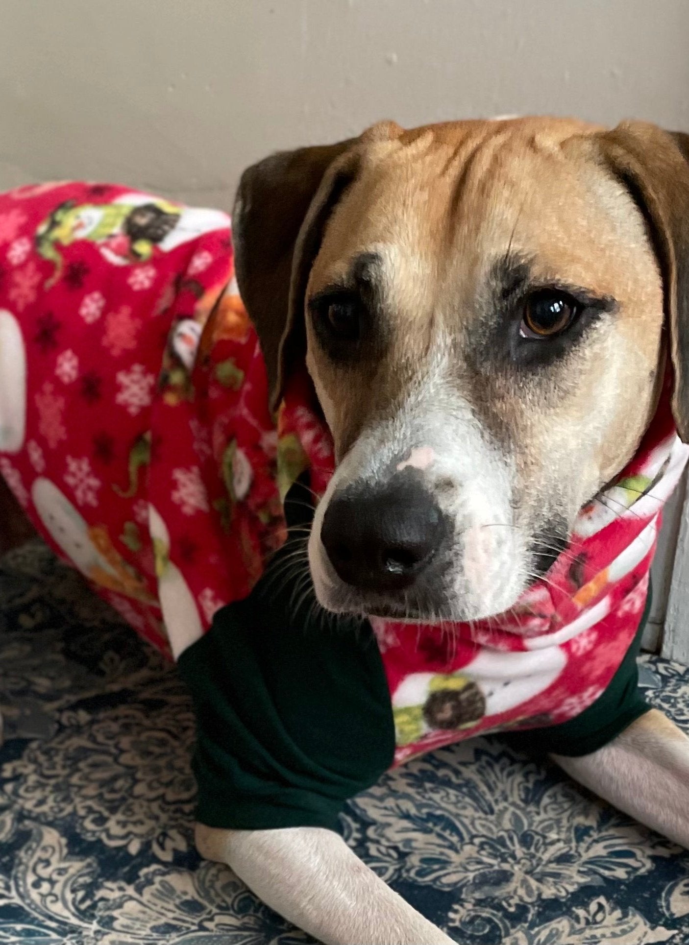 Dog laying wearing a red raglan sweater with green sleeves and a snowman print with snowflake accents. 