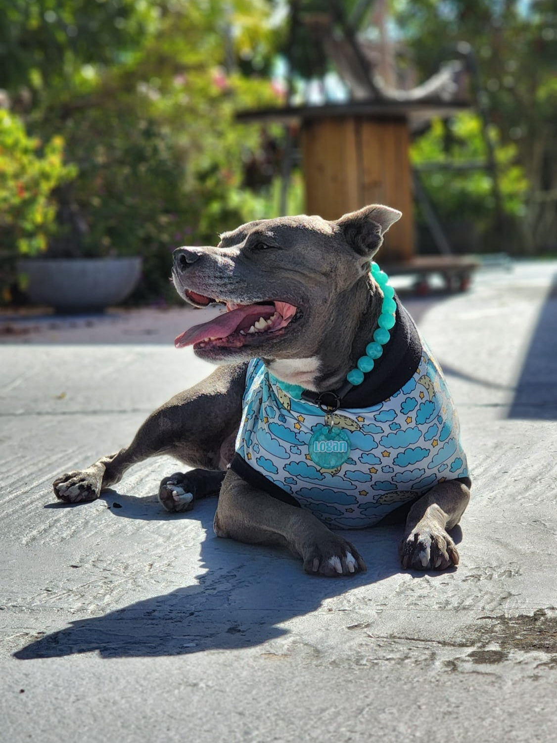 Sleepy Moon Dog Pajamas