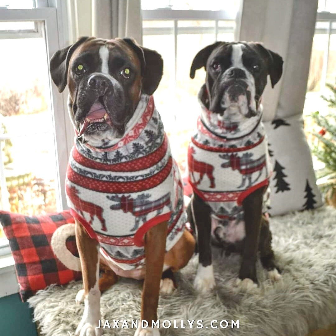 Jax & Molly's Aspen Holiday Dog Sweater