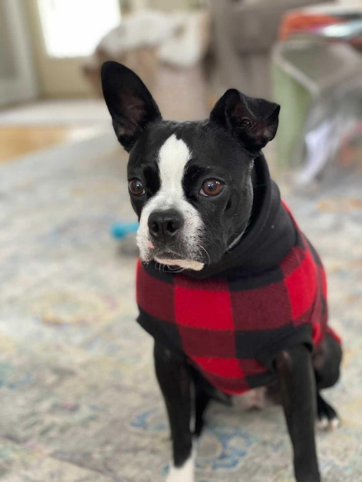 Jax & Molly's Red Buffalo Plaid Dog Sweater Fleece