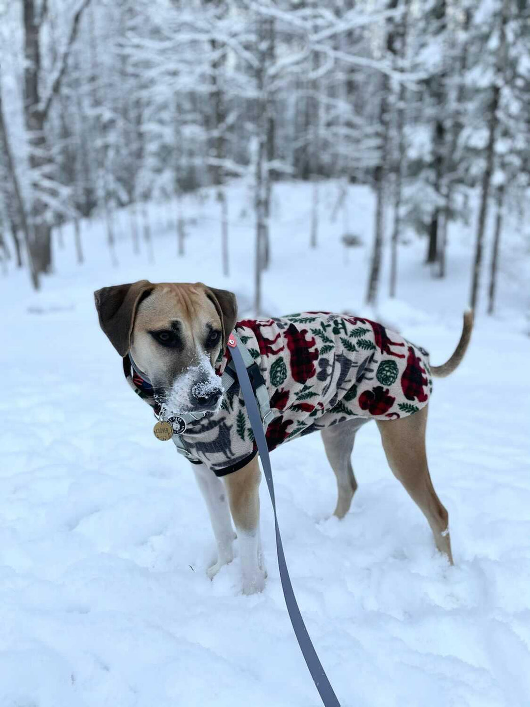 Wild Nature Dog Sweater