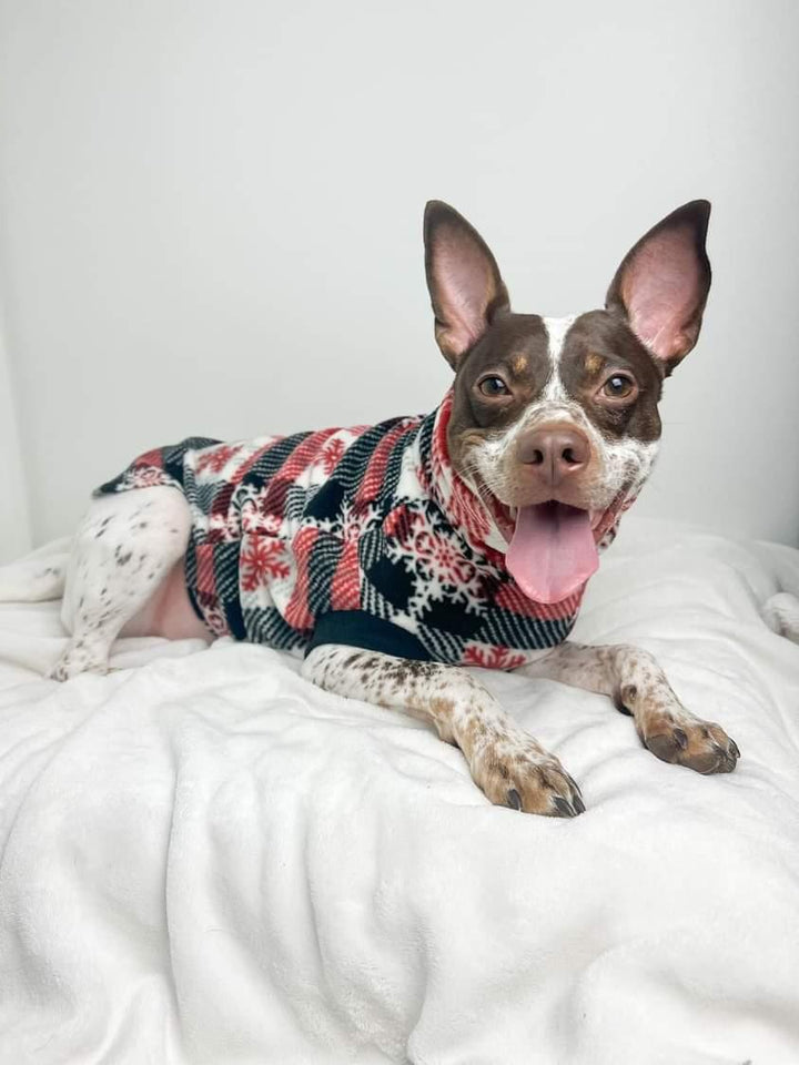 Dog wearing a Jax & Molly's fleece pullover dog sweater in red, white, and black plaid with snowflakes.