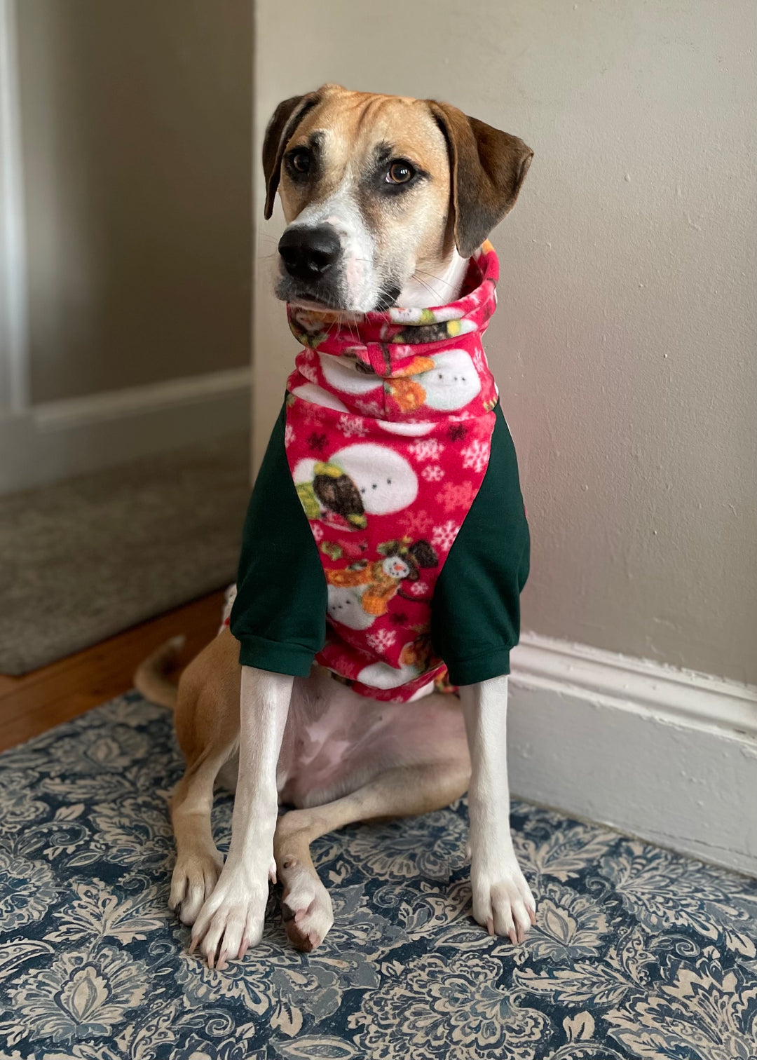 Holiday Snowmen Dog Sweater
