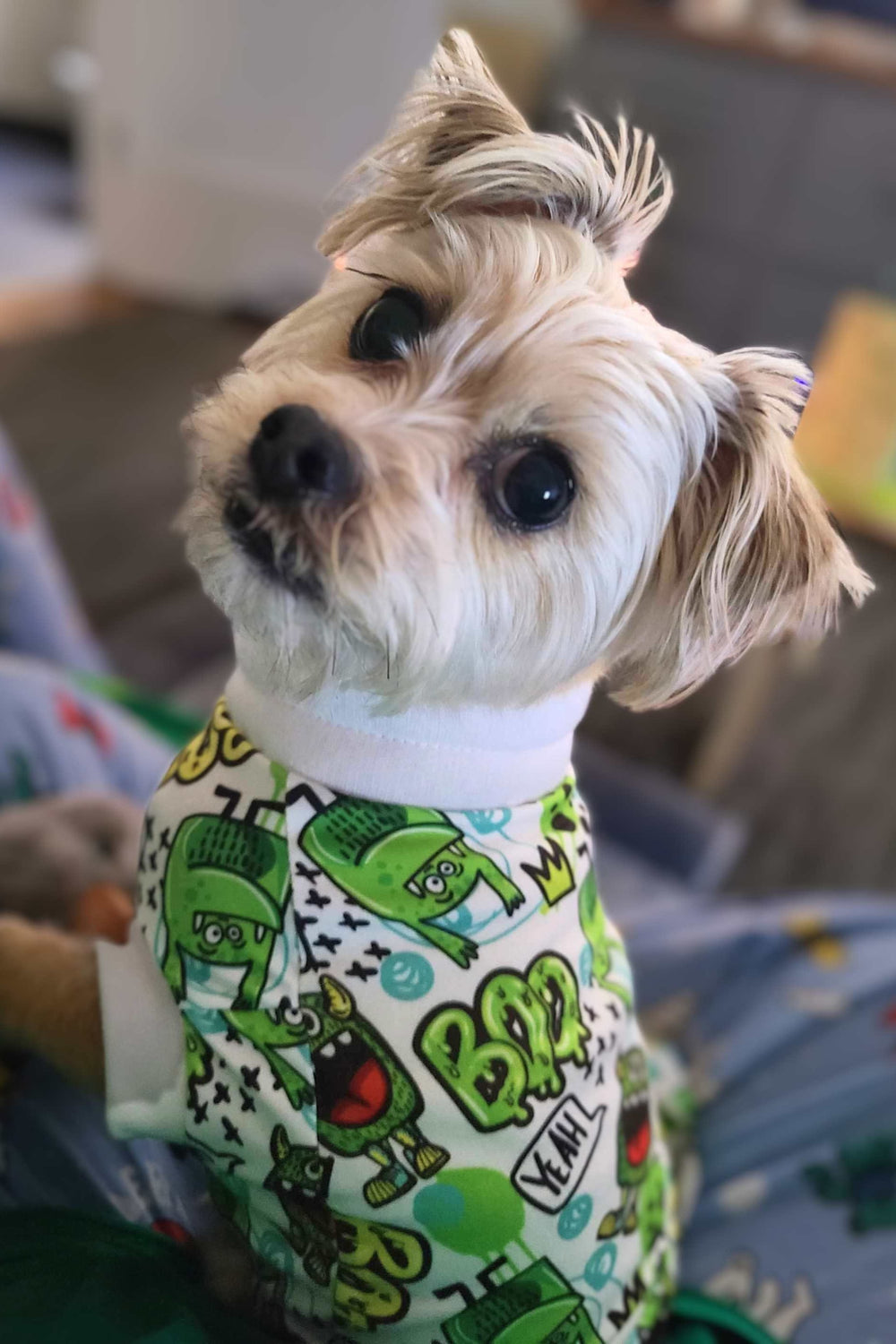 Havanese pup wearing a cute shirt by Jax & Molly's