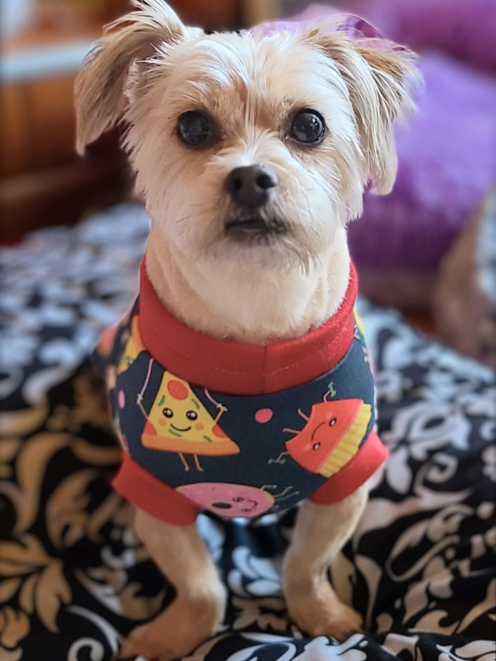 Cute Havanese wearing Jax & Molly's dog pajamas with a junk food print