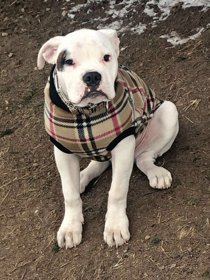 Jax & Molly's Camel Plaid Dog Sweater Pullover