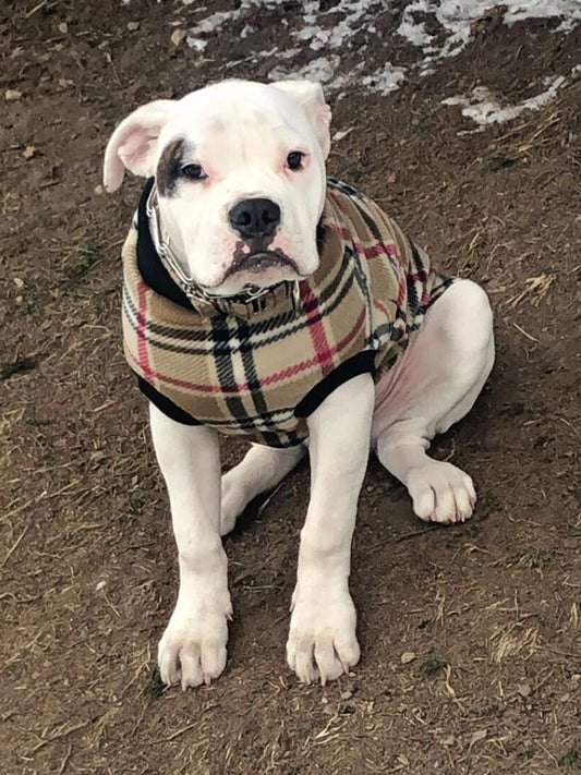 Jax & Molly's Camel Plaid Dog Sweater Pullover