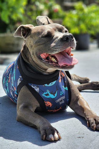 Happy dog lounging in Mischievous Fish & Sharks dog pajamas made from lightweight stretchy fabric