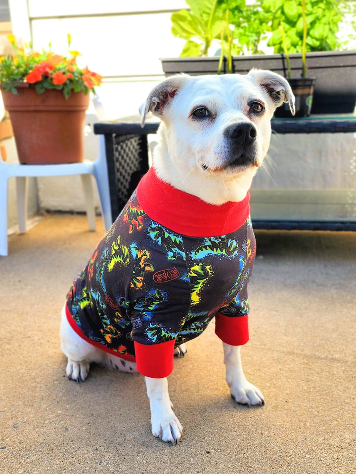 White mini pitbull wearing Jax & Molly's neon dinosaur dog pajamas
