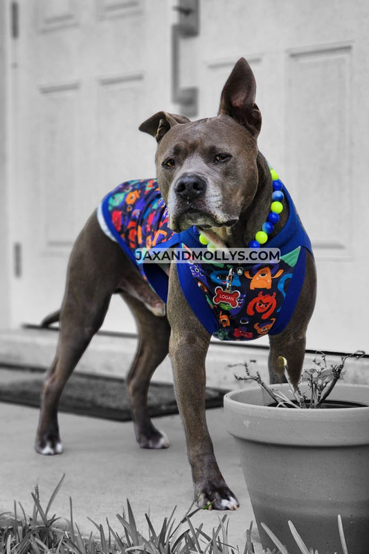 Pitbull wearing lightweight polyester dog pajamas with a vibrant silly monster design