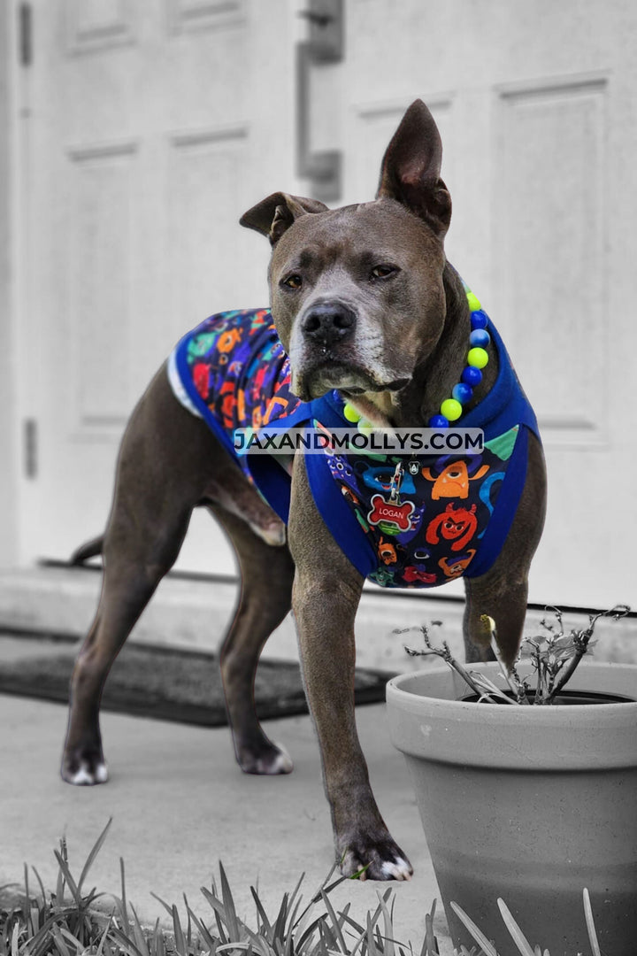 Pitbull wearing lightweight polyester dog pajamas with a vibrant silly monster design