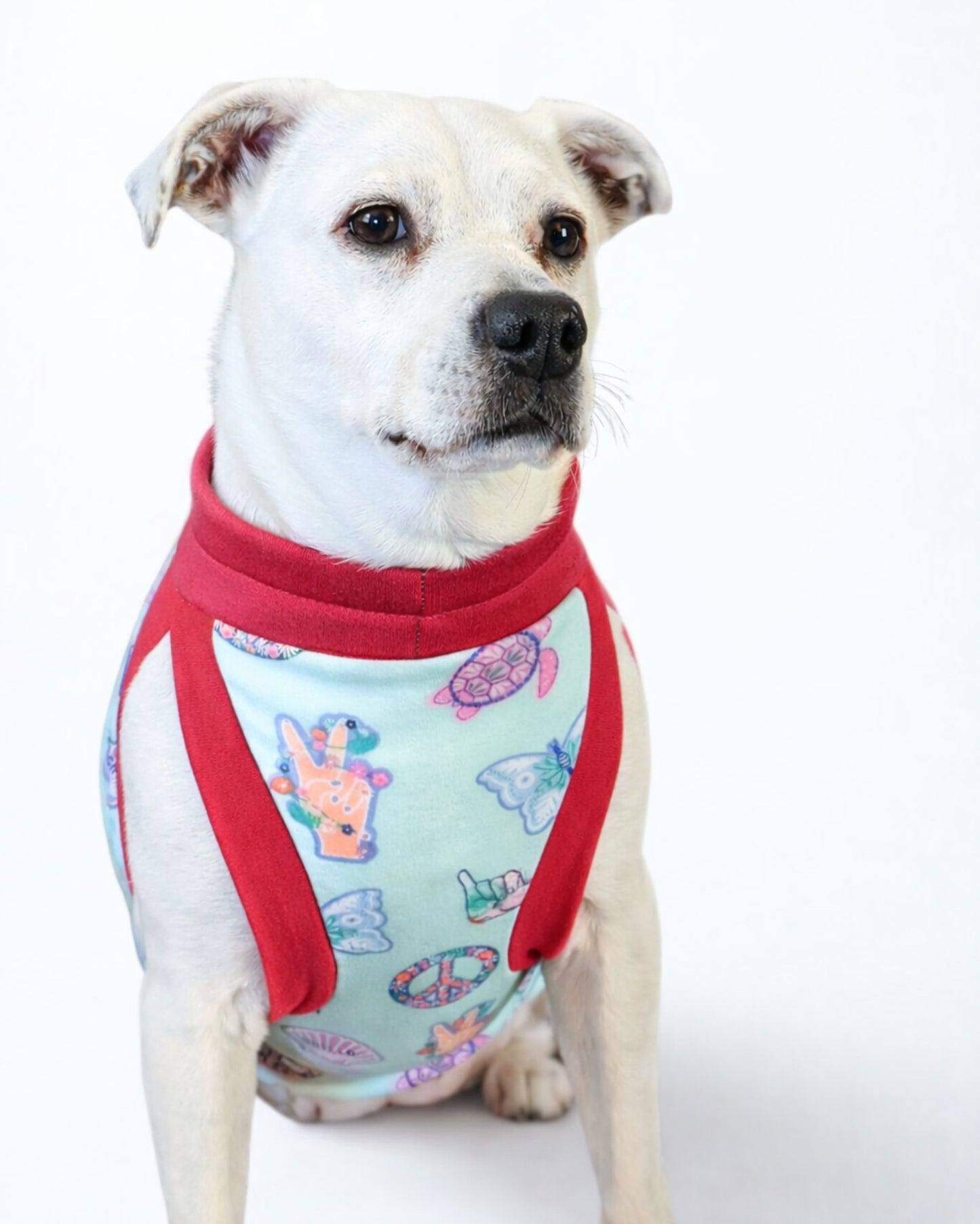 White dog modeling Peaceful Sunset cotton spandex dog pajamas with fuchsia trim