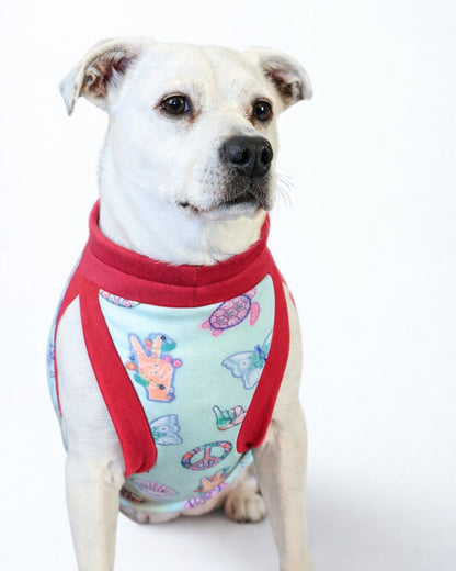 White dog modeling Peaceful Sunset cotton spandex dog pajamas with fuchsia trim