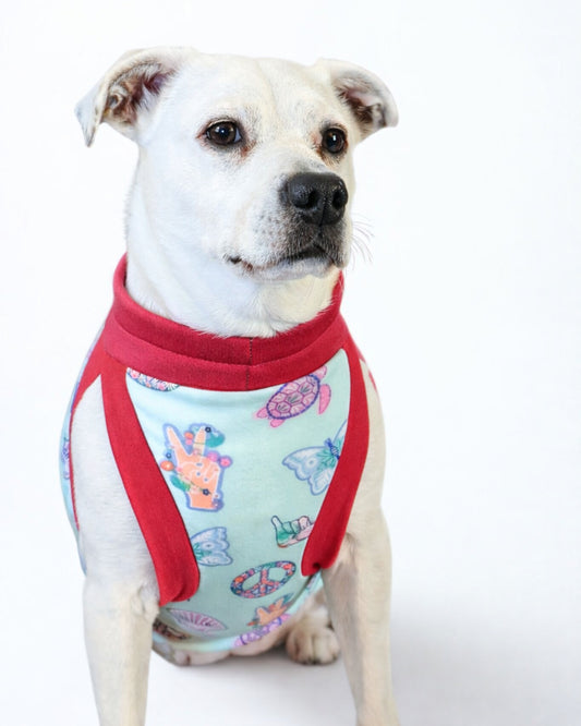 White dog modeling Peaceful Sunset cotton spandex dog pajamas with fuchsia trim