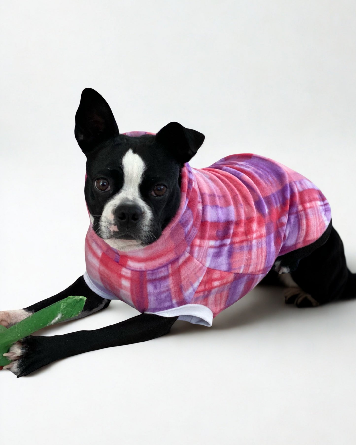 Cute dog in pink fleece dog sweater