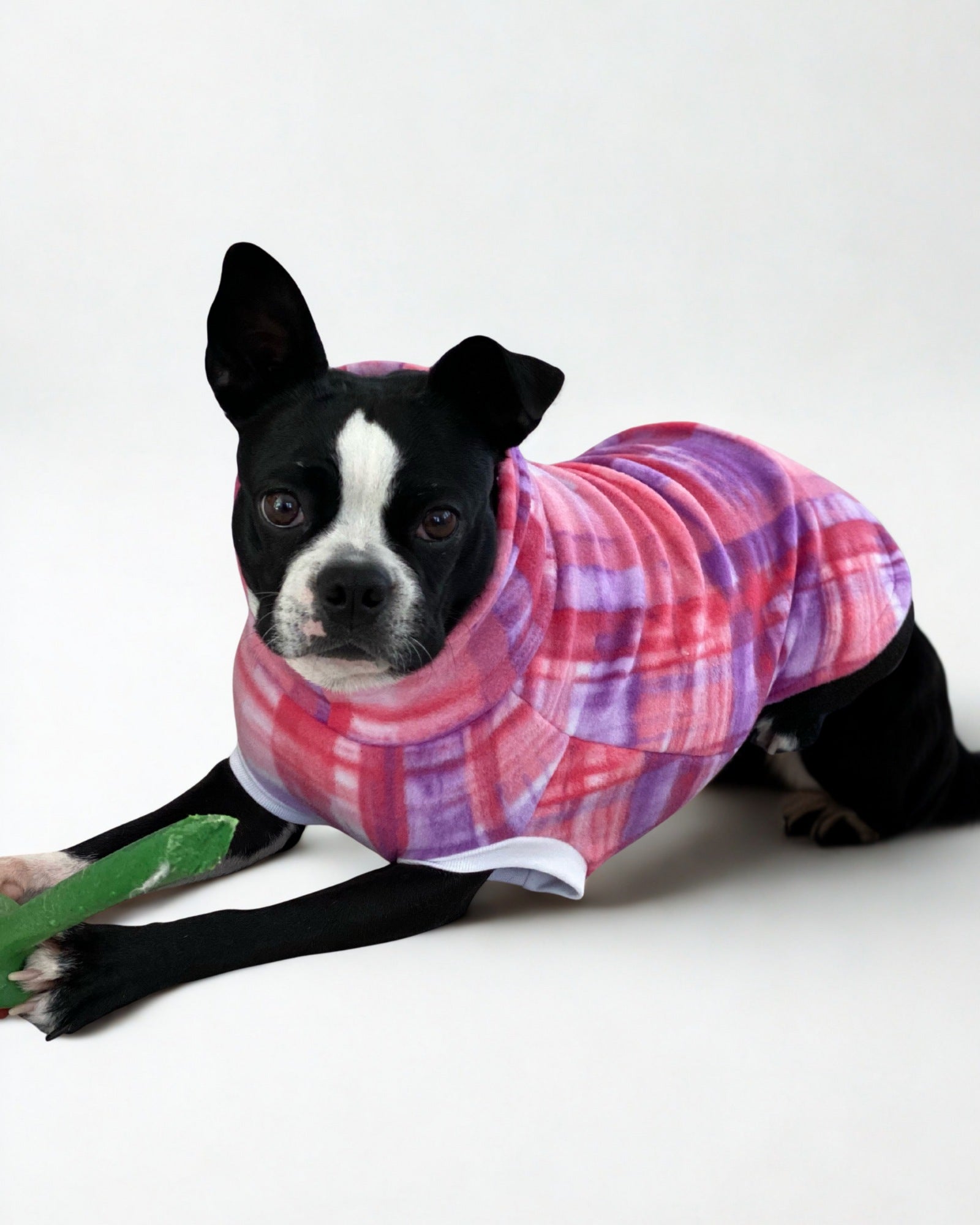 Cute dog in pink fleece dog sweater