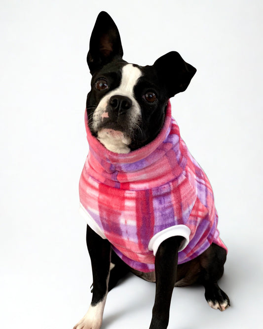 French bulldog in pink dog sweater