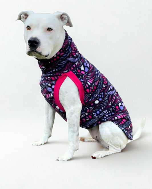 Dog poses in a fleece purple and pink dog sweater