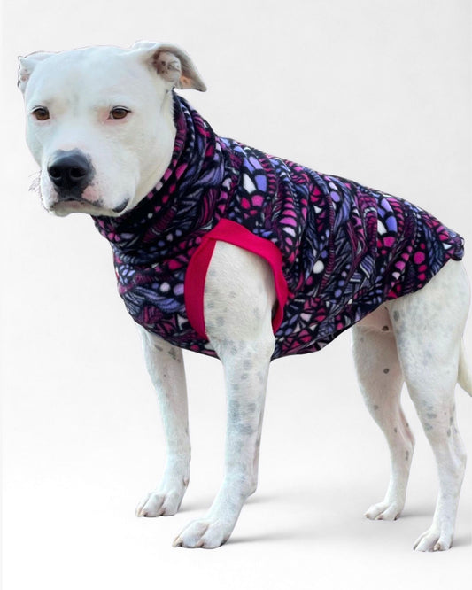 Dog poses in a purple and pink dog sweater