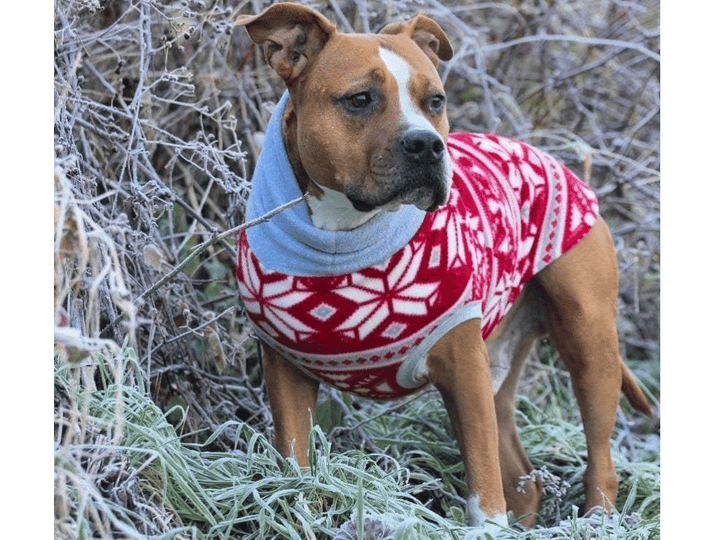 Red Fairisle Dog Sweater