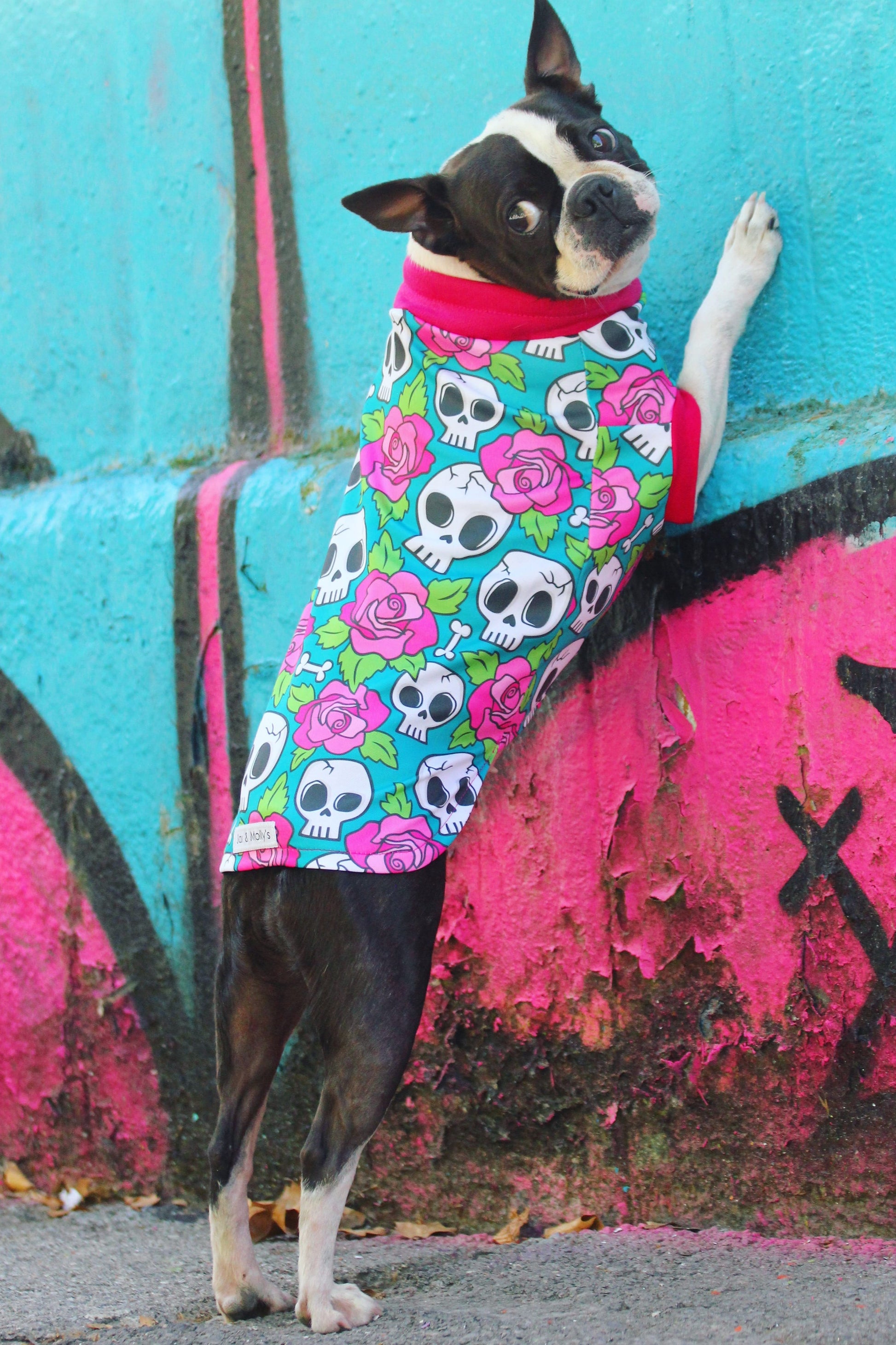 Jax & Molly's Skull and Roses Dog Pajamas