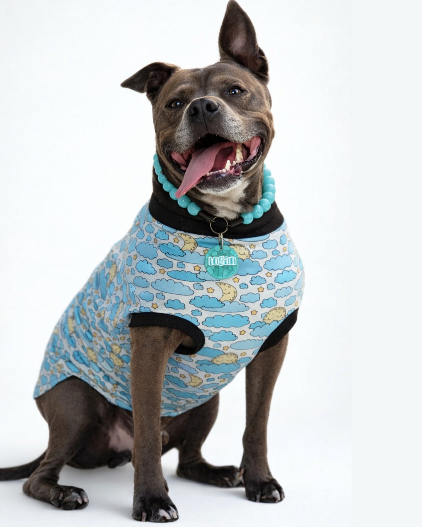 Dog wearing Sleepy Moon dog pajamas with moon and cloud print, sitting and smiling on white background