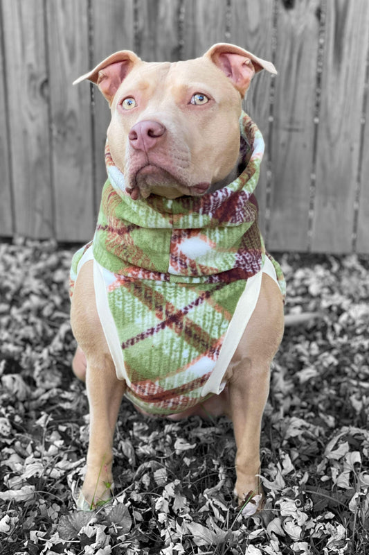 Pitbull modeling a fleece dog sweater in a green and brown plaid design