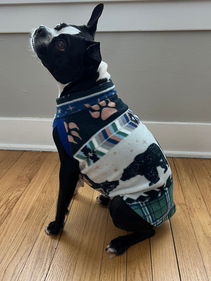 Side view of a Boston Terrier wearing a fleece pullover dog sweater by Jax & Molly's with print of bears and bear claw print.