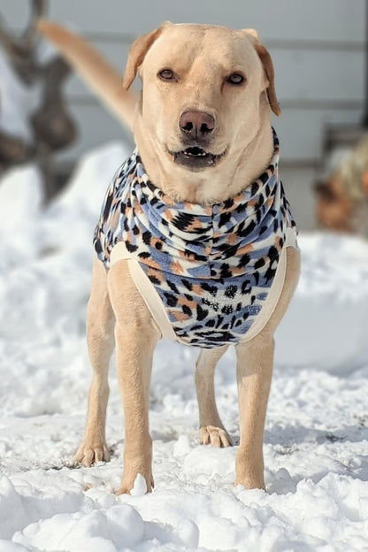 Jax & Molly's Dog Sweater Blue Cheetah Print