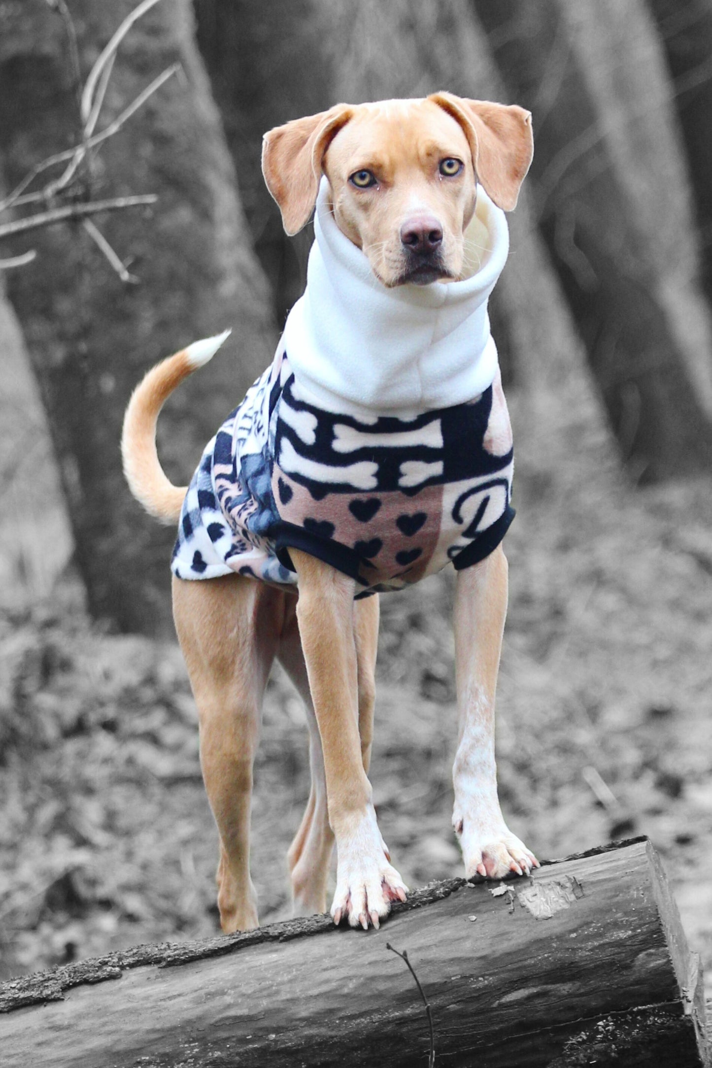 Dogs are My Favorite People II Dog Sweater - Made to Order