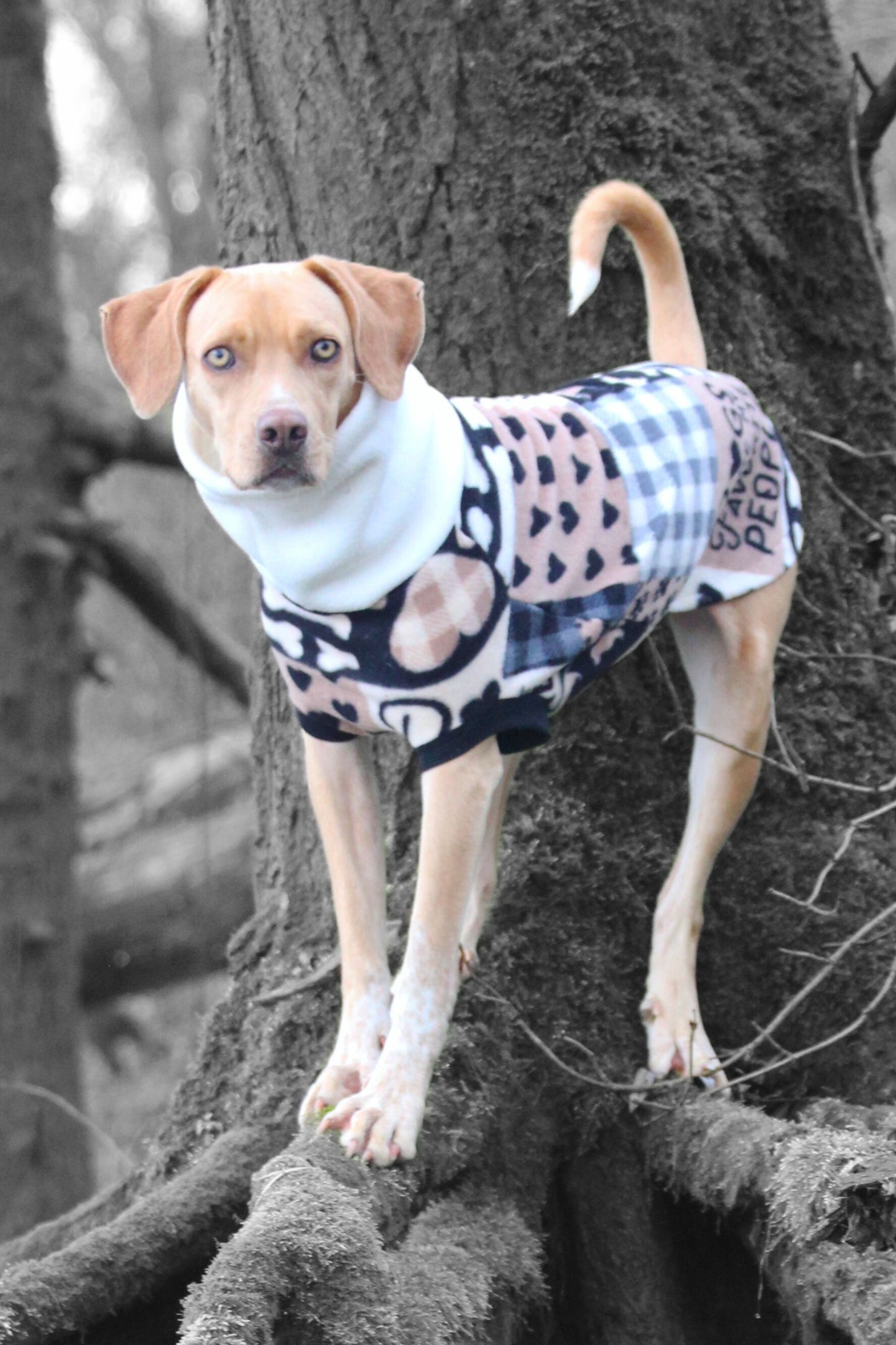 Dogs are My Favorite People II Dog Sweater - Made to Order