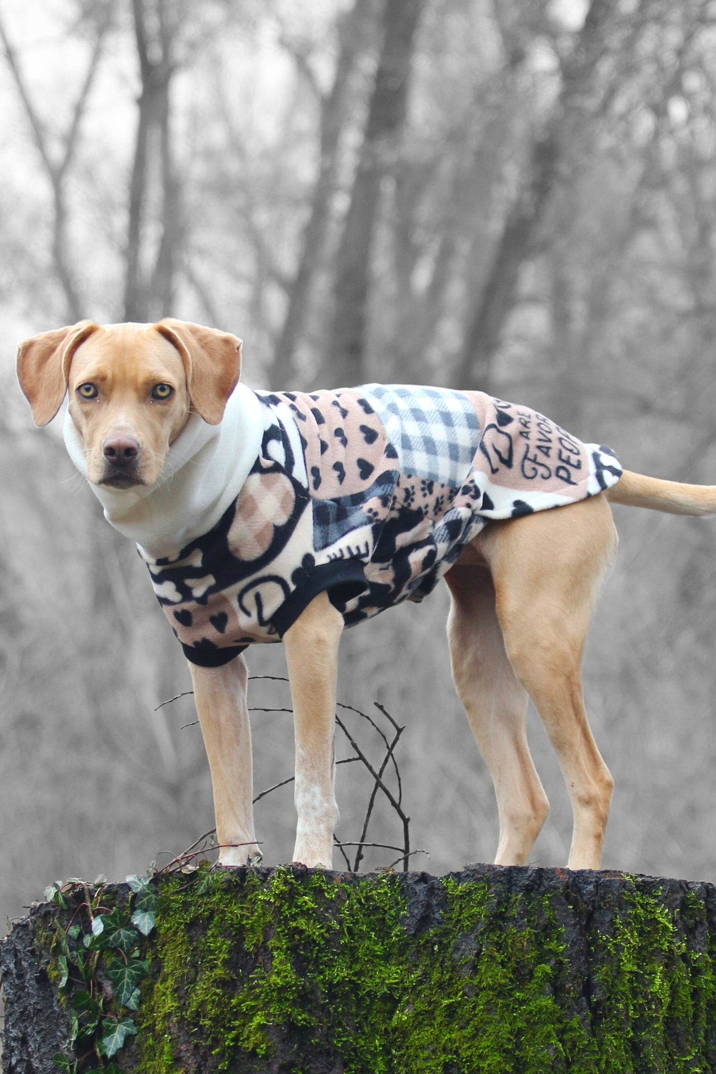 Dogs are My Favorite People II Dog Sweater - Made to Order