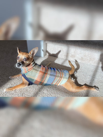 Chihuahua sunbathing in Jax & Molly's  Harvest Tartan Fleece Dog Sweater adorned with a rustic orange, blue and green plaid print.