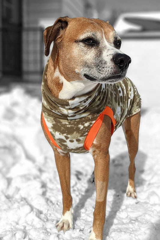 Dog showcasing camouflage fleece dog sweater