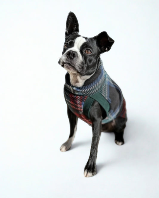 Boston Terrier modeling a dark plaid dog sweater crafted from anti-pill fleece