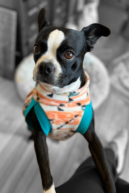 Boston Terrier wearing a fleece pullover dog sweater with an orange aztec design