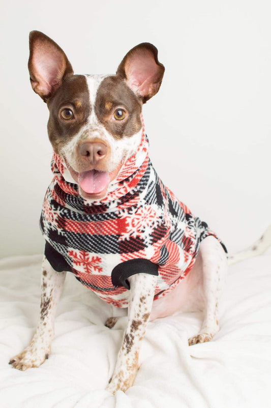 Closeup of an adorable dog modeling a Jax & Molly's fleece pullover dog sweater in red, white, and black plaid with snowflakes.