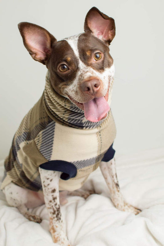 A charming dog dressed in Jax & Molly's Trinity Dog Sweater, featuring a stylish blend of tan, beige, and navy plaid.
