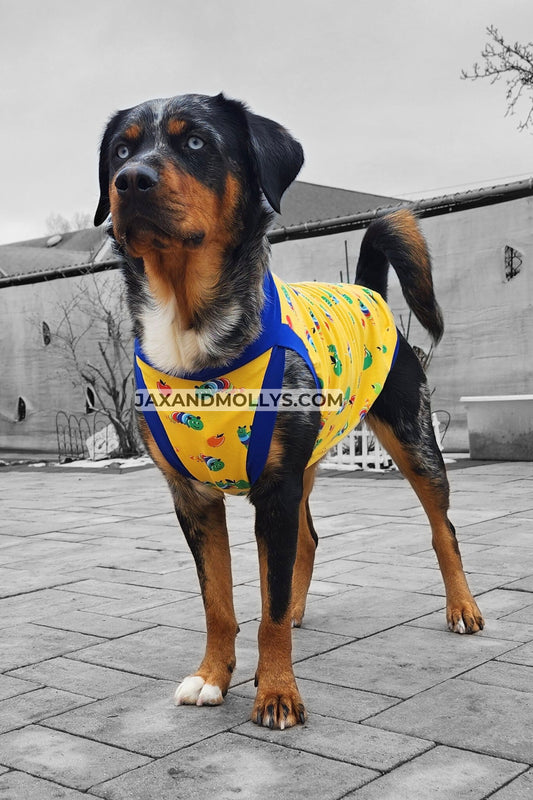 Hungry Caterpillar Dog Pajamas
