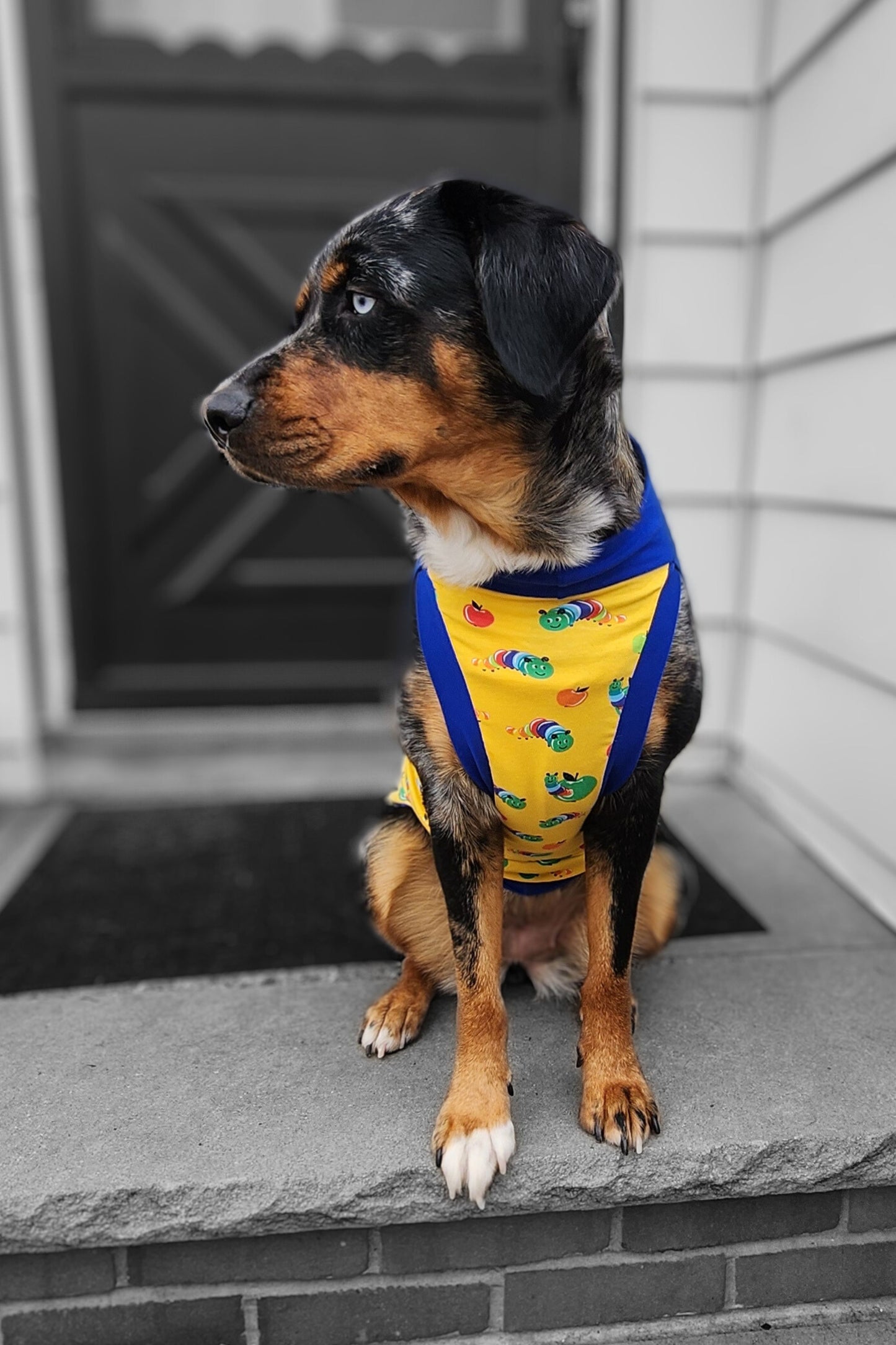 Hungry Caterpillar Dog Pajamas