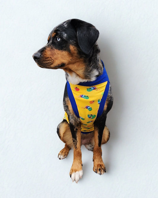 Dog wearing a yellow tank with colorful caterpillars and blue trim by Jax & Molly's.