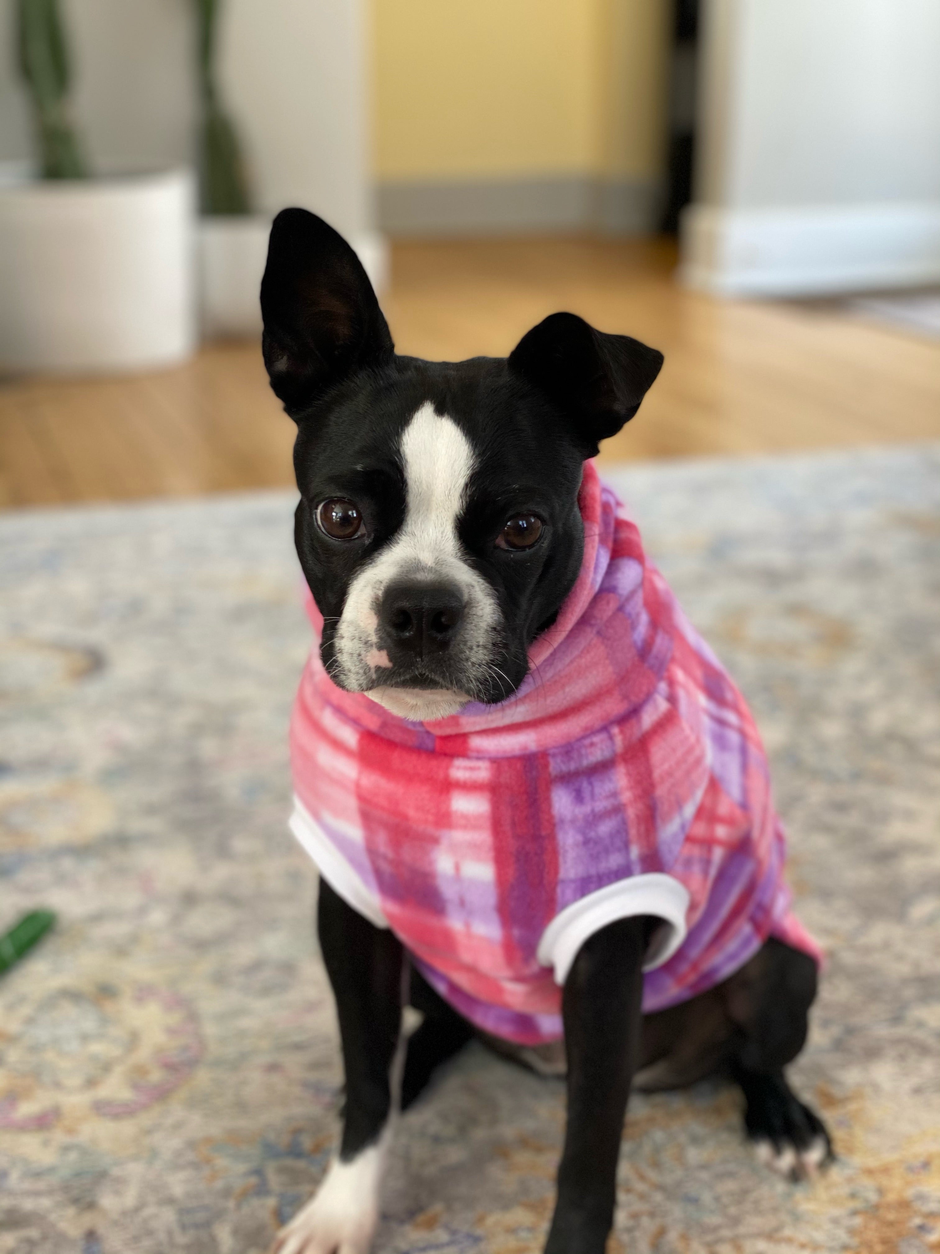 Pink dog sweater hotsell