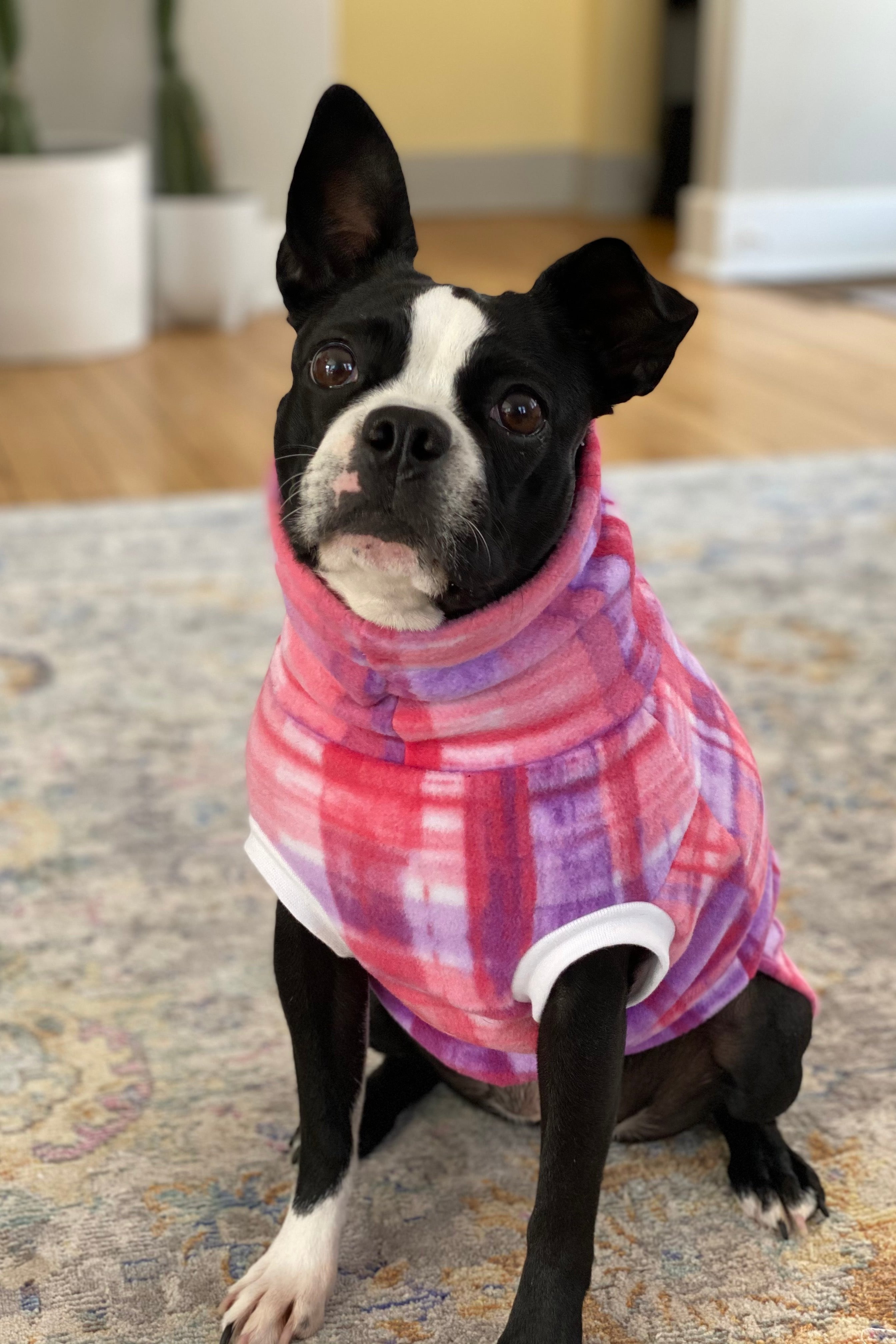 Pink puppy online sweater