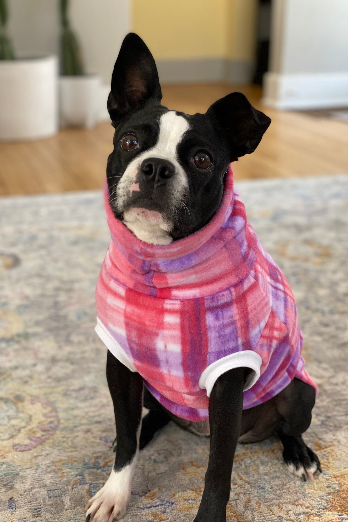 Pink dog sweater
