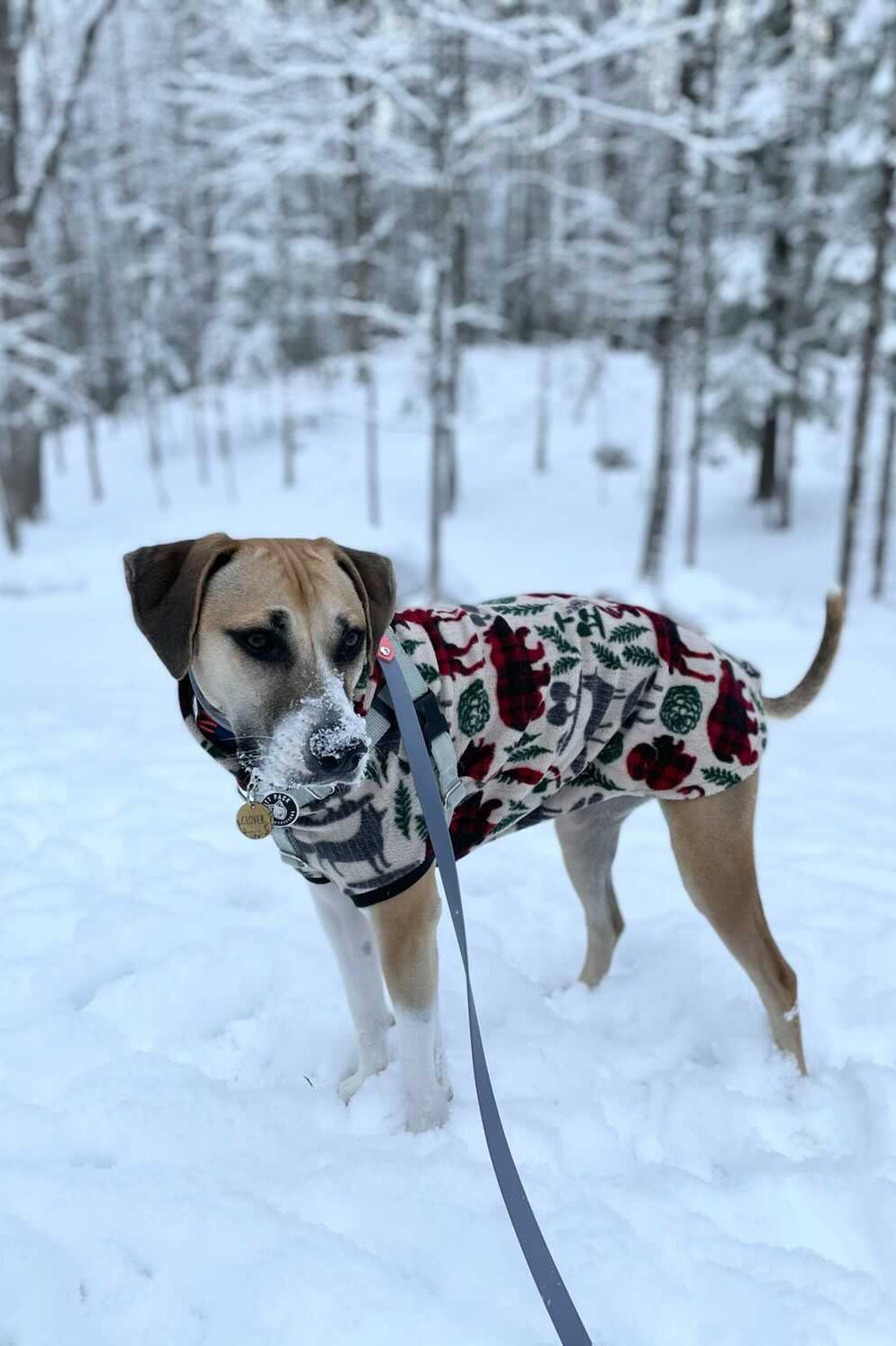 Wild Nature Dog Sweater - Made to Order