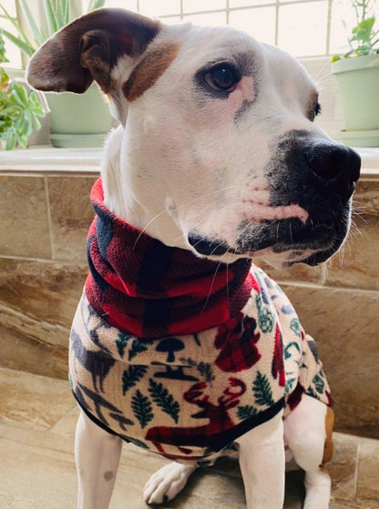 Wild Nature Dog Sweater - Made to Order