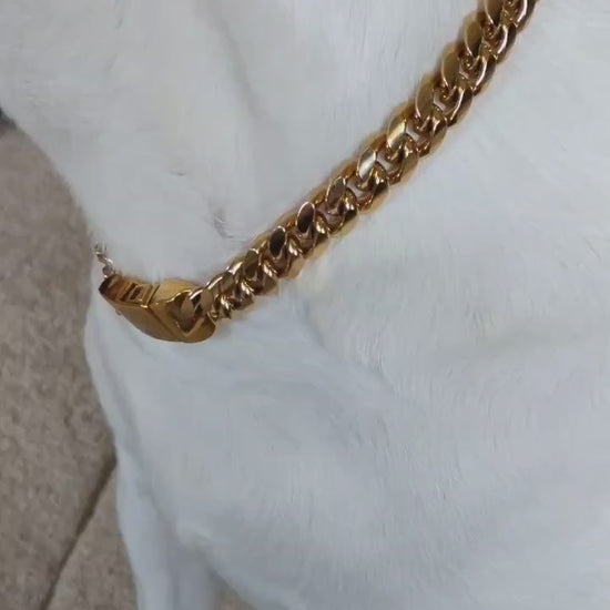 https://cdn.shopify.com/videos/c/o/v/a6ebfea192b94da8a2f54be33425da06.mp4
