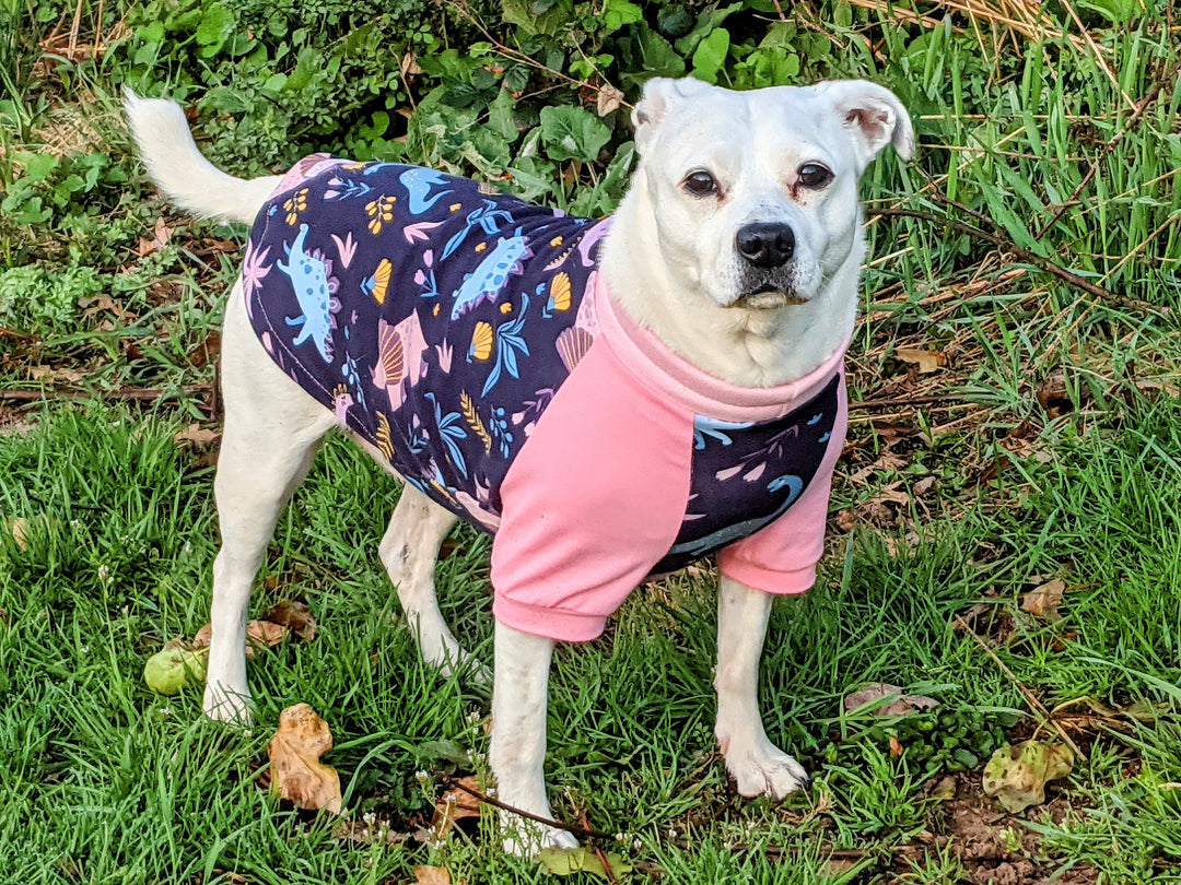 Pastel Dinosaur Raglan Dog Pajamas