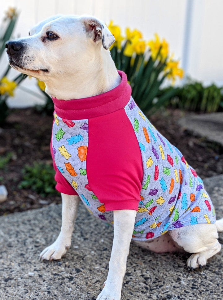 Jax & Molly's Raglan Candy Dog Pajamas
