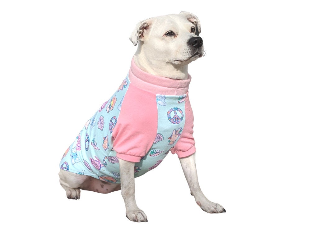 Jax & Molly's Raglan Dog Pajamas